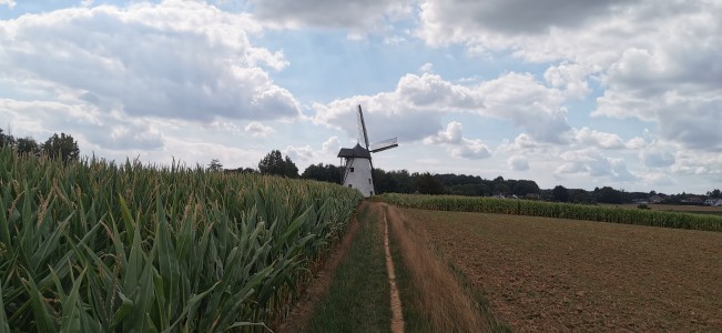  ﻿Le Moulin Molen ter hengst.